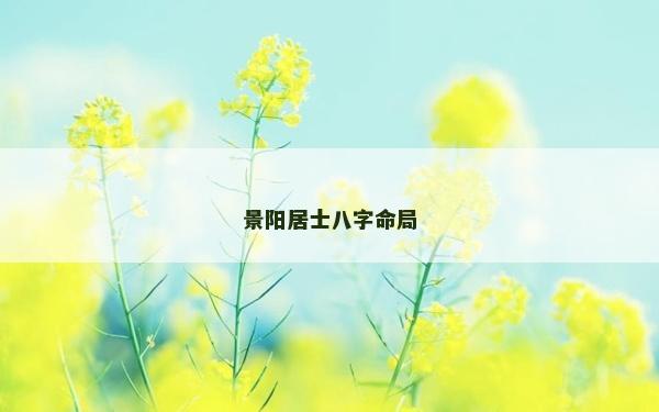 景陽居士八字命局
