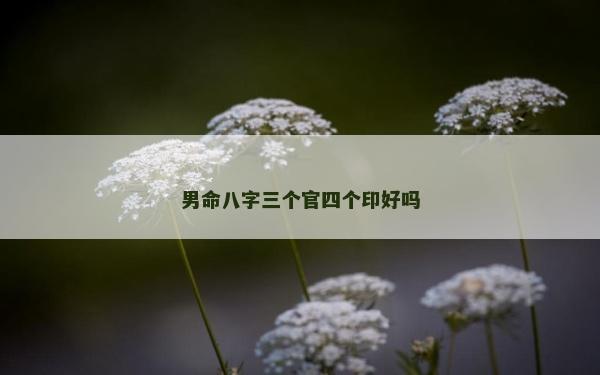 男命八字三個官四個印好嗎