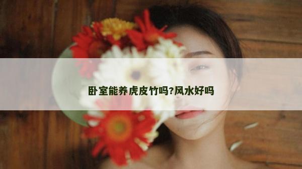 臥室能養(yǎng)虎皮竹嗎?風水好嗎