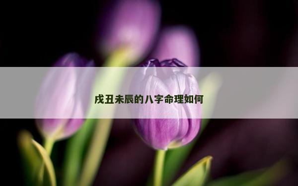戌丑未辰的八字命理如何 戌丑未辰的八字命理如何