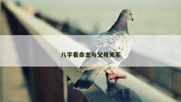 八字看命主與父母關系