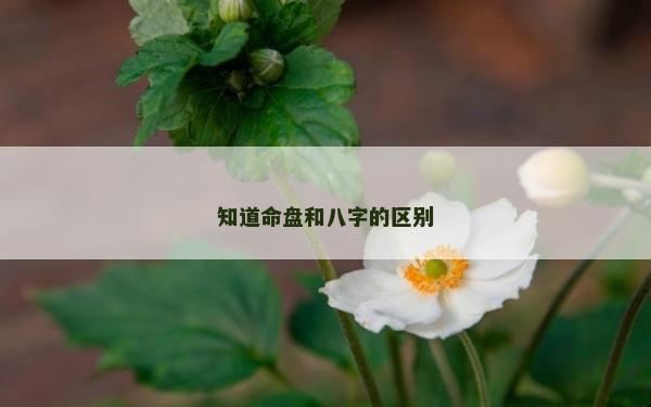 知道命盤和八字的區(qū)別