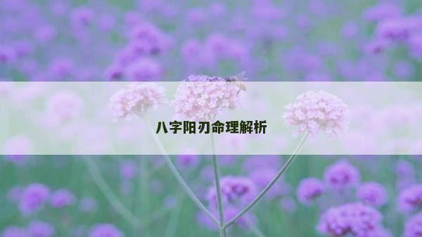 八字陽刃命理解析