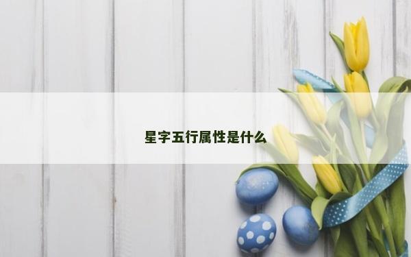 星字五行屬性是什么