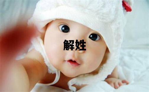 解姓有智慧才氣的男寶寶名字
