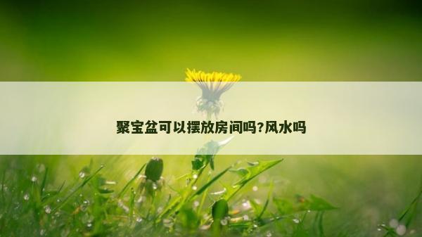 聚寶盆可以擺放房間嗎?風水嗎