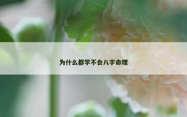 為什么都學不會八字命理