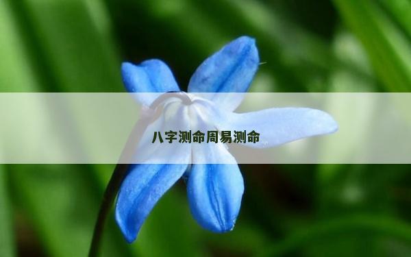 八字測命周易測命