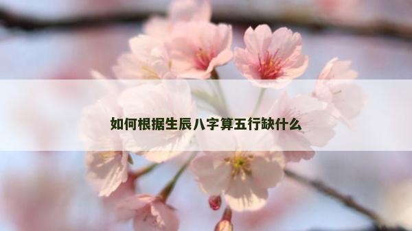 如何根據生辰八字算五行缺什么