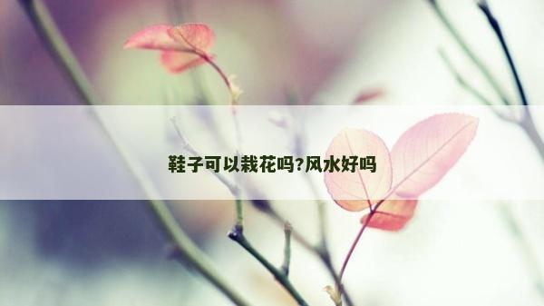 鞋子可以栽花嗎?風(fēng)水好嗎