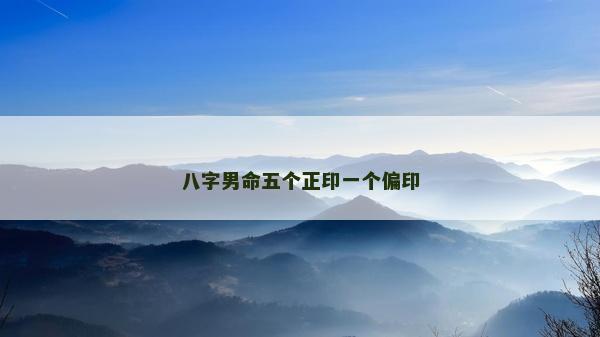 八字男命五個正印一個偏印