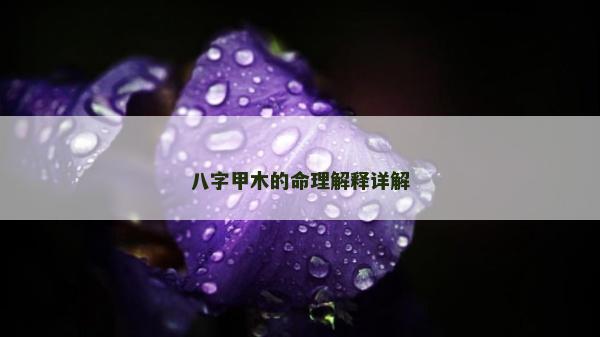 八字甲木的命理解釋詳解