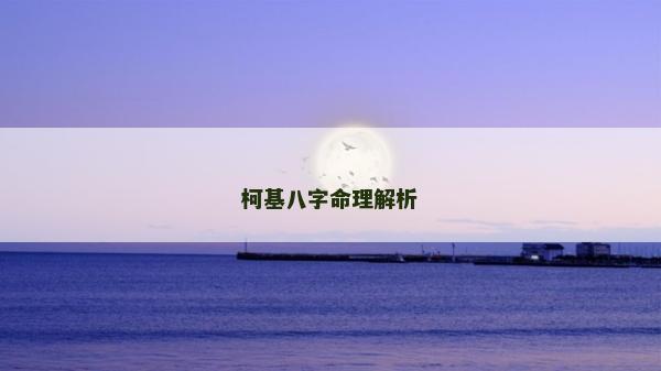 柯基八字命理解析