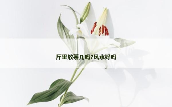 廳里放茶幾嗎?風水好嗎