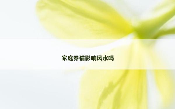 家庭養(yǎng)貓影響風(fēng)水嗎