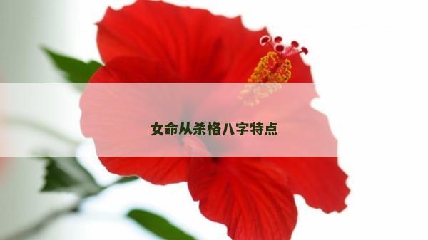 女命從殺格八字特點 女命從殺格八字特點