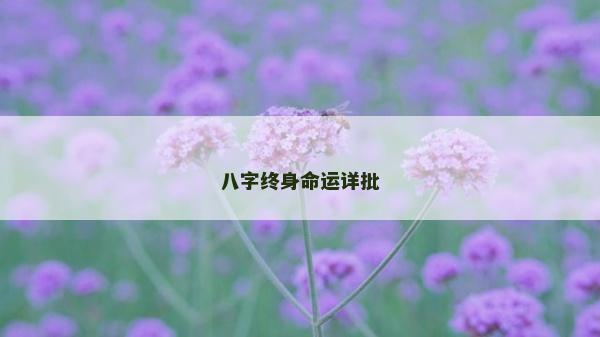八字終身命運詳批