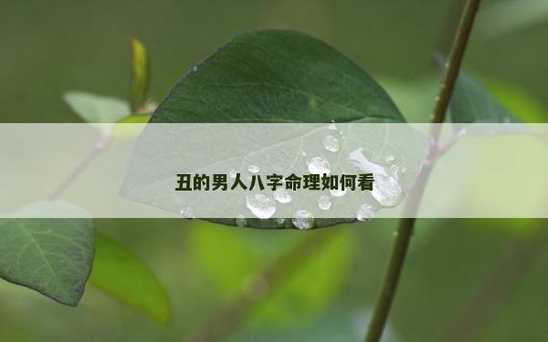 丑的男人八字命理如何看