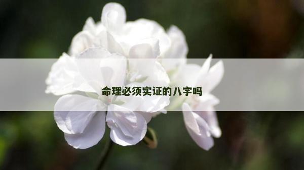 命理必須實證的八字嗎