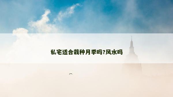 私宅適合栽種月季嗎?風水嗎