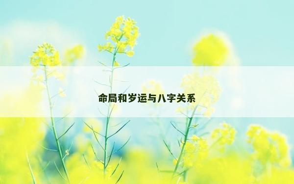 命局和歲運與八字關系