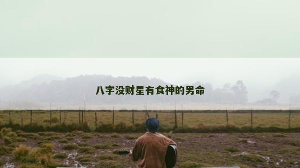 八字沒財星有食神的男命