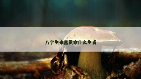 八字生來富貴命什么生肖