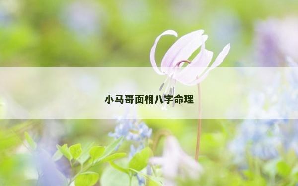小馬哥面相八字命理