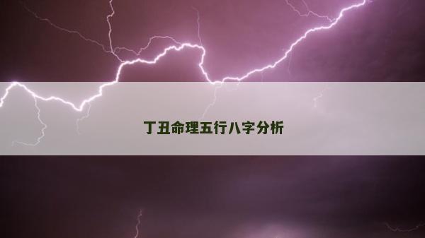 丁丑命理五行八字分析