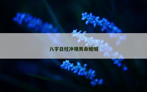 八字日柱沖祿男命婚姻