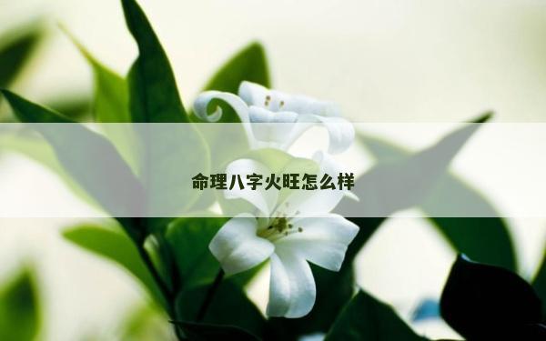 命理八字火旺怎么樣
