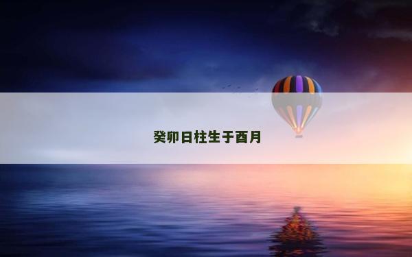 癸卯日柱生于酉月