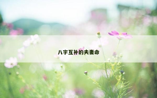 八字互補的夫妻命