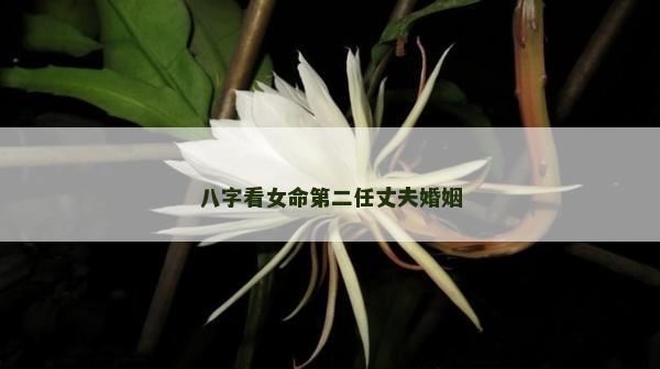 八字看女命第二任丈夫婚姻 八字看女命第二任丈夫婚姻