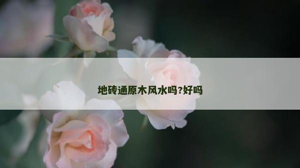 地磚通原木風水嗎?好嗎