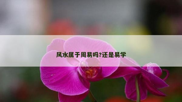風水屬于周易嗎?還是易學