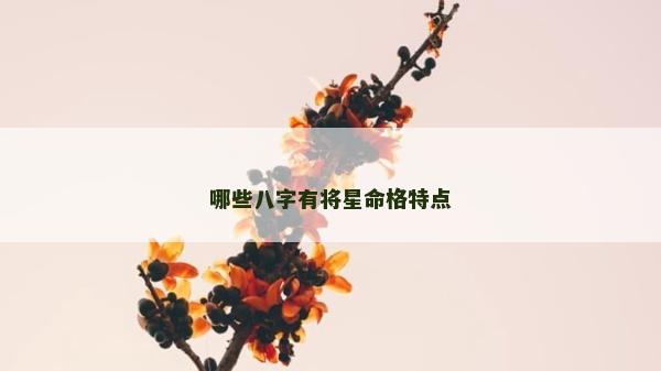 哪些八字有將星命格特點