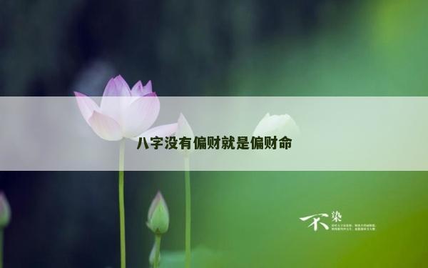 八字沒有偏財就是偏財命