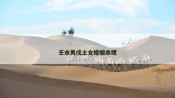 壬水男戊土女婚姻命理 壬水男戊土女婚姻命理
