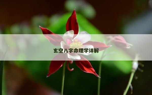 玄空八字命理學詳解 玄空八字命理學詳解
