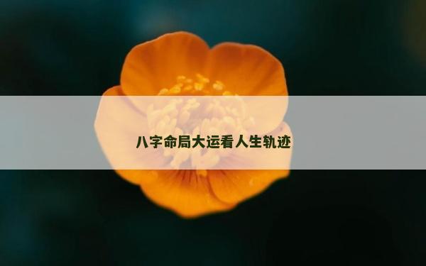八字命局大運看人生軌跡