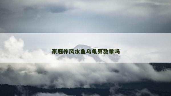 家庭養風水魚烏龜算數量嗎