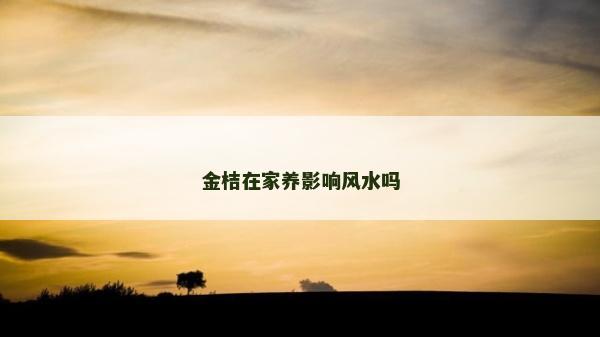 金桔在家養影響風水嗎