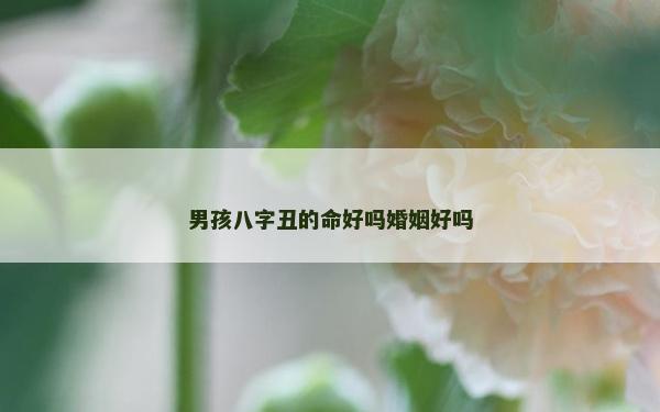 男孩八字丑的命好嗎婚姻好嗎