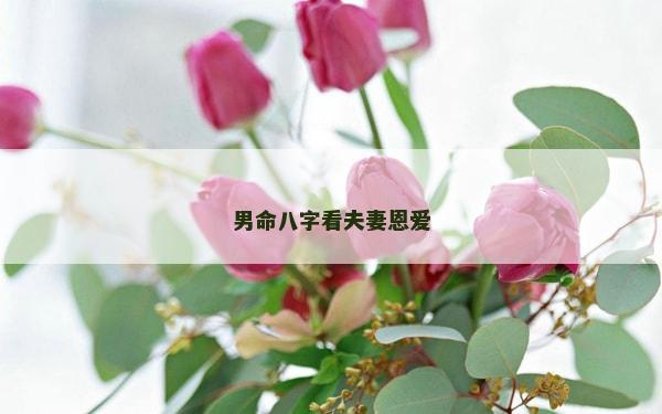 男命八字看夫妻恩愛