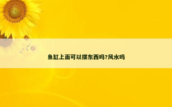 魚缸上面可以擺東西嗎?風水嗎