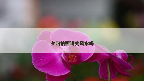 夕陽拍照講究風水嗎