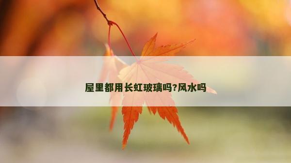 屋里都用長(zhǎng)虹玻璃嗎?風(fēng)水嗎