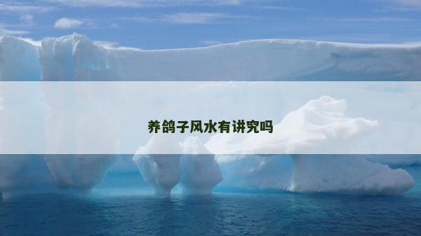 養(yǎng)鴿子風(fēng)水有講究嗎