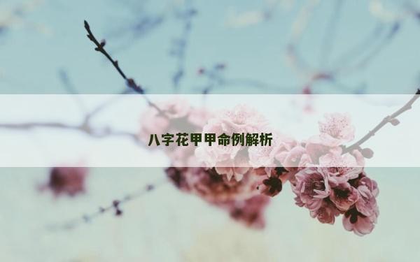 八字花甲甲命例解析